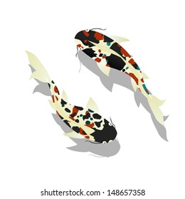 Carp. Koi Fish vector design against white background