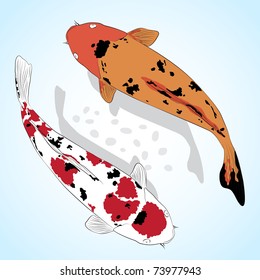 Carp. Koi Fish. Vector greeting card