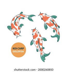 Pescado dorado koi de carpa aislado sobre fondo blanco con un estilo dibujado a mano. elementos de diseño orientales chinos y japoneses.  elementos de peces carpa koi. Ilustración vectorial.