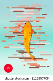carp koi postcard