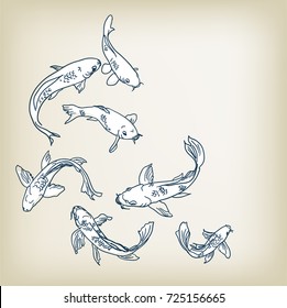 carp koi  vector illustration set sketch