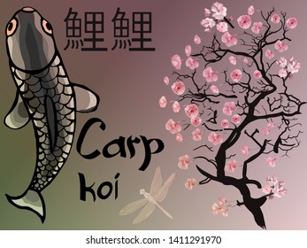 Carp koi in the water pool. Decorated with blooming cherry and dragonfly. In English, "Carp Koi." Japanese "Carp Koi"