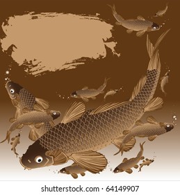carp in the lake
