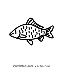 Carp Outline Icon, Vector illustration