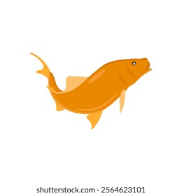 Carp Seafood Vector Illustration, Isolated