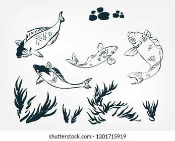 carp set collection japanese chinese oriental vector ink style design elements illustration