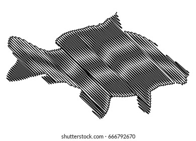 carp silhouette vector, (Cyprinus carpio), 