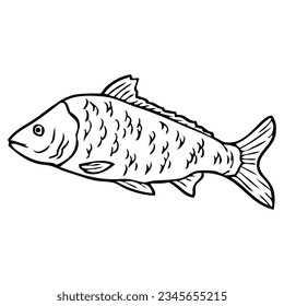 carp sketch vector illustration,isolated on white background,top view