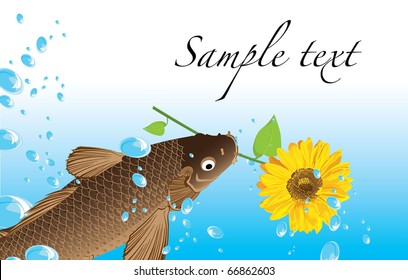 carp with a sunflower(postcard)