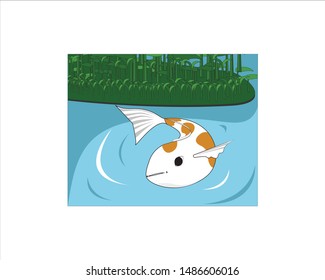 Carp in the swamp water