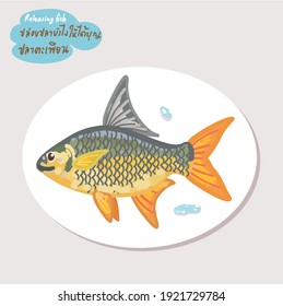 carp in Thai Language it mean “carp”