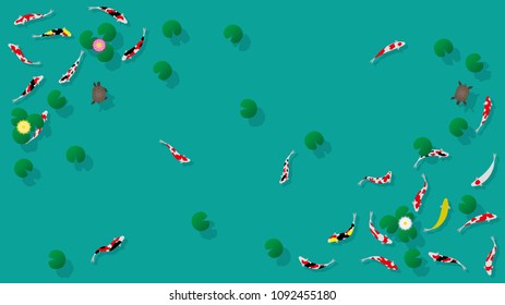 Carp and turtle swimming in lotus pond