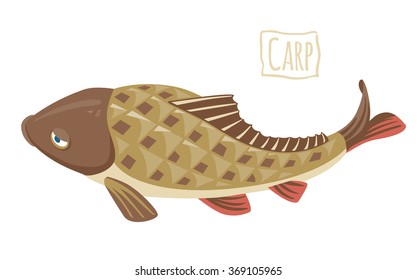 Carp, vector cartoon illustration
