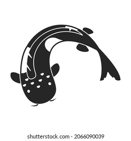 Carp vector icon.Blackvector icon isolated on white background carp.