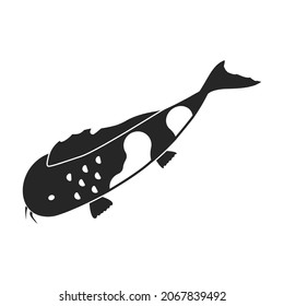 Carp vector icon.Blackvector icon isolated on white background carp.