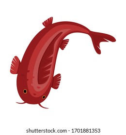 Carp vector icon.Cartoon vector icon isolated on white background carp.