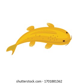 Carp vector icon.Cartoon vector icon isolated on white background carp.
