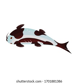 Carp vector icon.Cartoon vector icon isolated on white background carp.
