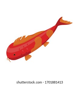 Carp vector icon.Cartoon vector icon isolated on white background carp.