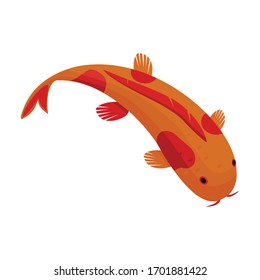 Carp vector icon.Cartoon vector icon isolated on white background carp.