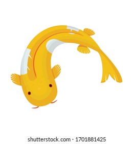 Carp vector icon.Cartoon vector icon isolated on white background carp.