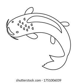 Carp vector icon.Line vector icon isolated on white background carp.