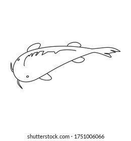 Carp vector icon.Line vector icon isolated on white background carp.