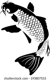 Carp vector illustration