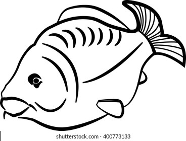 Carp vector and illustration.