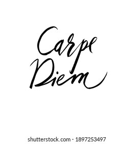 Carpe diem. Calligraphic inscription written by hand. A Latin saying. Isolated vector illustration