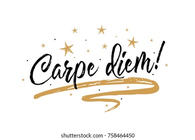 Carpe diem card. Beautiful greeting banner poster calligraphy inscription black text word gold ribbon. Hand drawn design elements. Handwritten modern brush lettering white background isolated vector