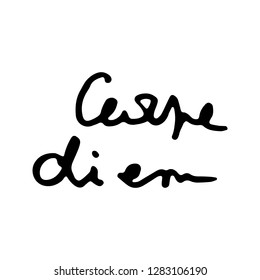Carpe diem. Doodle grunge lettering. Brush calligraphy text for banner, poster, greeting card, party invitation. Vector illustration