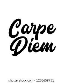 Carpe diem graphic vector design