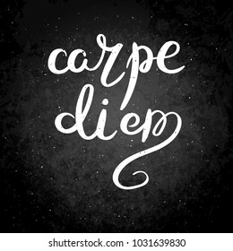 Carpe diem. Hand drawn vector lettering phrase. Modern motivating calligraphy decor for wall, poster, prints, cards, t-shirts and other