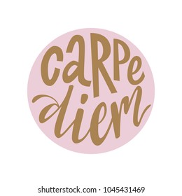 Carpe diem hand lettering quote illustration with decorative elements. Vector template for wall art, poster, t-shirt, greeting card design.