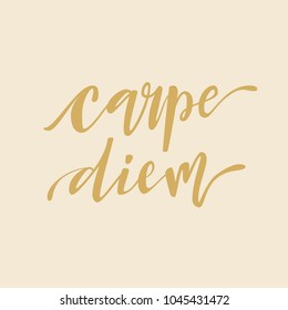 Carpe diem hand lettering quote illustration with decorative elements. Vector template for wall art, poster, t-shirt, greeting card design.