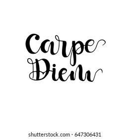 Carpe diem - latin phrase means Capture the moment. Inspirational quote expressive handwritten with brush, isolated on white background. Vector calligraphy art.