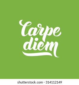 Carpe diem (Latin Translation: Capture the moment) Hand-lettering calligraphy. Premium Handmade vector Lettering.