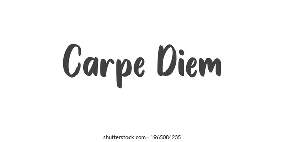 Carpe Diem lettering text, hand drawn typographic style phrase. Motivational quote handwritten design.