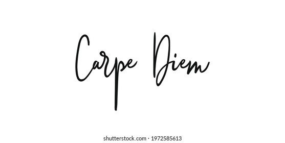 Carpe Diem lettering text, hand drawn typographic style phrase. Motivational quote handwritten design.