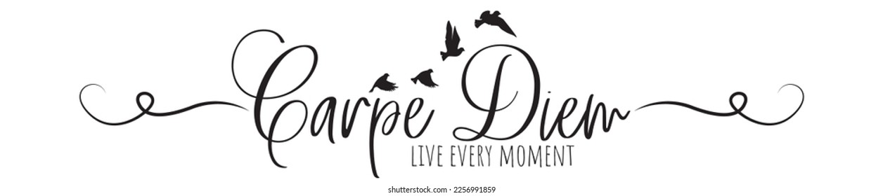 Carpe diem, live every moment, vector. Wording design, lettering. Wall decals isolated on white background, wall artwork, wall art design. Motivational, inspirational life quote