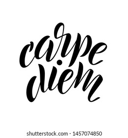 Carpe diem. Modern vector lettering