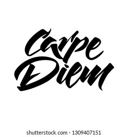 Carpe Diem words lettering vector. Hand written modern calligraphy illustration. Seize the moment inpirational quote design. Latin motivation phrase. Black letters isolated on white background