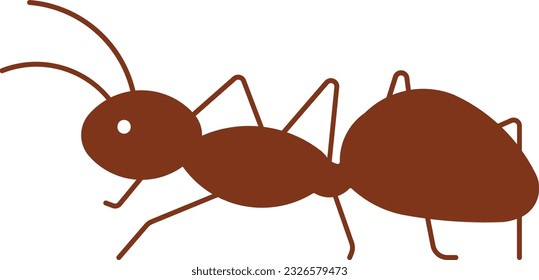 carpenter ant ant bug insect beetle Flat