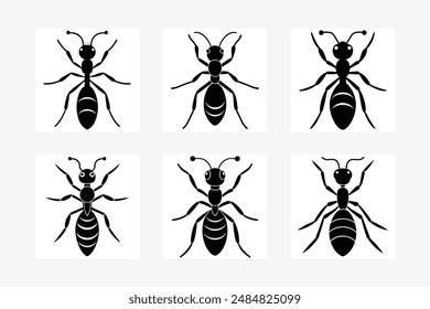 Carpenter Ant goes icon vector illustration