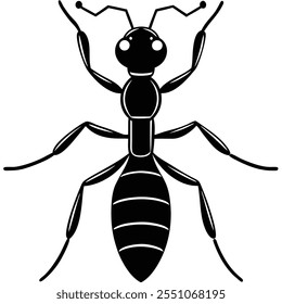 Carpenter Ant insect flat vector illustration on a white background