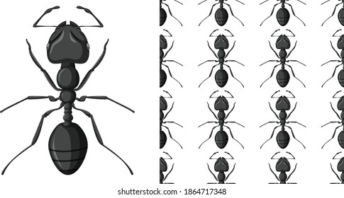 Carpenter ant isolated on white background and Carpenter ant seamless illustration