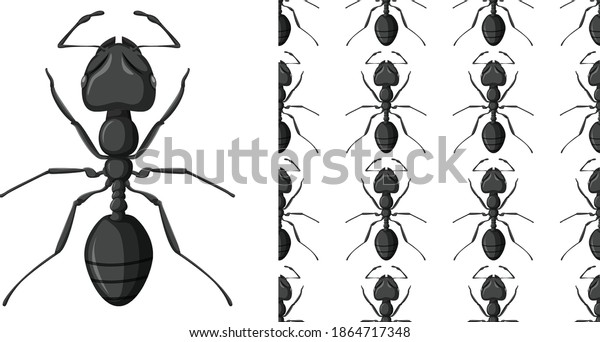 Carpenter ant isolated on white background\
and Carpenter ant seamless\
illustration