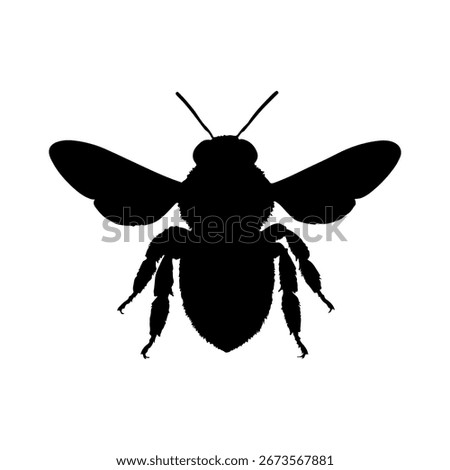 Carpenter bee silhouette icon vector flat illustration on white background.
