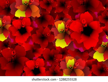 carpet of red flowers, floral pattern with blooming Hibiscus flowers, Botanical print Vintage textile collection background, big flowers for textile pattern for fashion print, fabric pattern